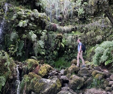 Foto van Wandelen op Madeira